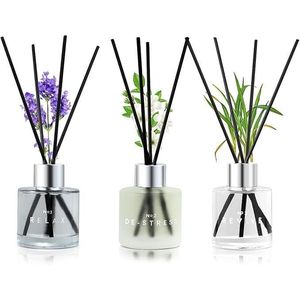 เติมความสดชื่นให้ห้องน้ำหรือสำนักงานของคุณด้วยชุดก้านไม้หอมปรับอากาศ - Product Image 1