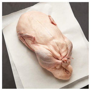 Viande de canard halal surgelée de qualité supérieure, tendre, emballée pour l'exportation, vente en gros - Product Image 4