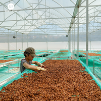 Meilleures ventes Grains de café vert du Vietnam Robusta Arabica Haricots bruts Prix compétitif Sac d'emballage Vente en gros Prêt pour l'importation Navire
