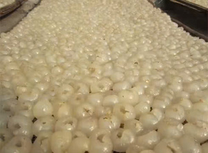Proveedor de Longan Congelado al Mejor Precio de Vietnam - Product Image 3