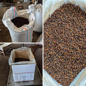 Clavos de olor enteros secos premium de Indonesia Sulawesi Tenggara, Grado AB, Bolsas PP de 25 kg, Marca Global Agro Komoditi, Mejor Precio, Mezclas de Especias - Product Image 1