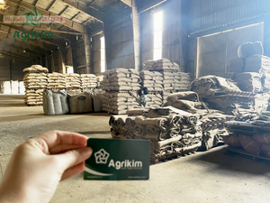 โรบัสต้าอาราบิก้าเมล็ดกาแฟอบแห้งสีเขียวของเวียดนามหน้าจอ18ความชื้นในการคั่วปริมาณ12.5% สูงสุด - Product Image 4