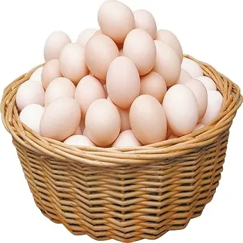 Çiftlik taze tavuk yumurta kahverengi ve beyaz taze kahverengi beyaz yumurta/en İyi kalite organik taze tavuk yumurta avail