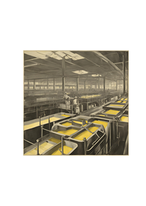 ISO Certified Pure Salted Margarine Halal Butter Sterilized and <b>Box</b> Carton Packaged for Industrial Use - Product Image 2