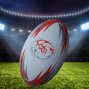 Ballon de rugby en caoutchouc Mini & Standard taille 5 balle de match d'entraînement Durable en vrac logo personnalisé en gros pour l'équipe - Product Image 4