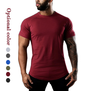 Men's <b>Raglan</b> Short Sleeve T Shirt Crew Neck Blank Sports Training Tee Custom Logo Fitness Workout <b>Top</b> - Product Image 1