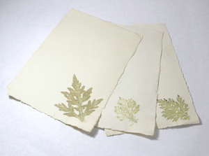 Papel de Algodón Reciclado Hecho a Mano, Papel para Cartas A4, Sin Ácido, con Bordes Decorativos (Bordes Naturales), Juego de Papelería Absolutamente Ecológico - Product Image 2