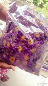 Flores de Loto Azul Secas de Sri Lanka (Flores Reales), Naturales, Ecológicas, para Uso Medicinal, Bebida de Hojas - Product Image 4