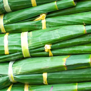 ใบกล้วยธรรมชาติ100% ห่ออาหารผลิตภัณฑ์ทางการเกษตรเป็นมิตรต่อสิ่งแวดล้อมสดและแห้ง - Product Image 1