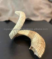 Shofar artisanal en corne naturelle semi-polie, anti-odeur, décoratif, fonctionnel, cadeau juif pour homme ROYAL CRAFT
