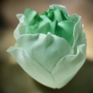 VADEE SOLA WOOD FLOWER SET ROSE Diffuseur Modèle SET02 Ocean Lotus 6.5CM Couleur Vert Menthe Bâtonnets en Fibre de Plante de Sésbanie Aromathérapie - Product Image 4