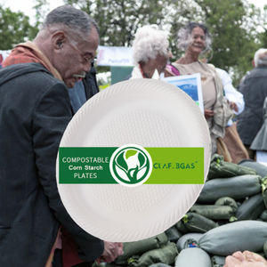 Assiettes en bagasse 100% compostables de 6 à 12 pouces pour les plats à emporter des restaurants et les buffets - Product Image 2