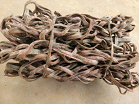 Vignes de liane naturelles durables pour l'enrubannage architectural, corde en bois torsadée, décoration rustique, fibre naturelle, vente en gros