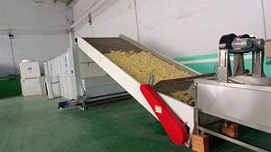 Machine de séchage de piment de dessiccateur de ceinture de maille continue d'approvisionnement d'usine - Product Image 2