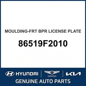 Molduras y Adornos para Carrocería de Elantra Nuevos 86519F2010 - Product Image 1