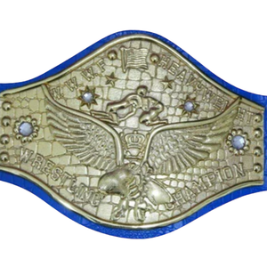 Ceinture de champion de la WWE personnalisée, ceinture de titre de lutte personnalisable, qualité supérieure, édition de collection - Product Image 2