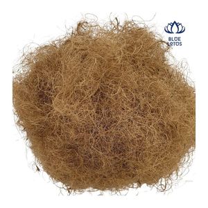 Hot Selling Cheap Coconut Coir Fiber Block 2025 by Blue Lotus Farm Best Supplier - Product Image 1