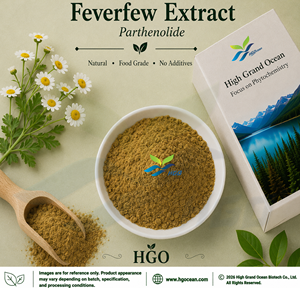 Suministro directo de fábrica HGO de extracto de matricaria natural puro/Tanacetum parthenium (grado alimenticio) Especificación Parthenolide 0.8% - Product Image 1
