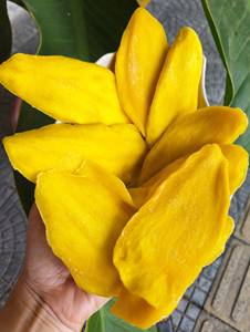 WHOLESALE SOFT <b>DRIED</b> <b>MANGO</b> SLICES - Product Image 3