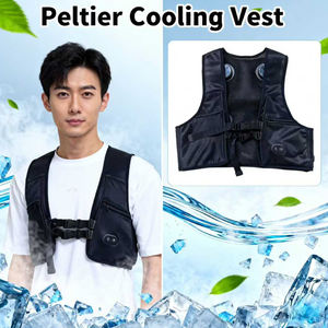 Chaleco Refrigerante TEC Semiconductor Peltier con Batería, Modelo 2026, para Trabajo Industrial en Exteriores, Prevención de Golpes de Calor (OEM) - Product Image 3