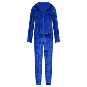 Casual Solid Color With Logo Women's Solid Color Hooded Tracksuit Full Sleeve Zipper Closure Casual Wear Autumn Regular - Product Image 4
