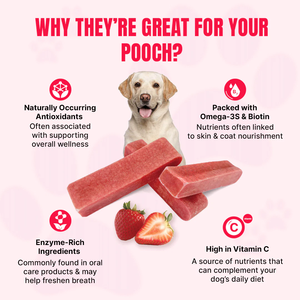 Premium 100% Natural Dog Treat Himalayan Yak High Protein Dental Care Joint Safe Soft Chews OEM ODM Suplemento privado para mascotas - Product Image 3