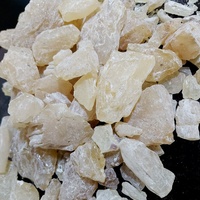 Gum Copal (PWS, DBB, WS y polvo) de fabricación directa de fábrica, calidad de exportación bien seca, el mejor precio