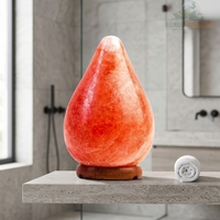 Premium Hand Carved Teardrop Shape Himalayan Pink Salt Lamp Warm Ambient Night Light for Bedroom Living Room Decor