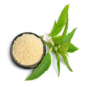 Graines de sésame indiennes pour la distribution en gros aux usines alimentaires, aux chaînes de boulangeries, aux importateurs d'ingrédients et à l'importation internationale - Product Image 6