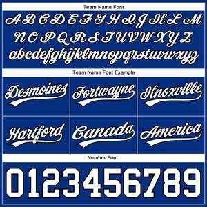 Wholesale Basketball <b>Shorts</b> Men Breathable Mesh Athletic Team Uniform Quick Dry Sports <b>Shorts</b> Logo Printing Bulk Supply OEM/ODM - Product Image 3