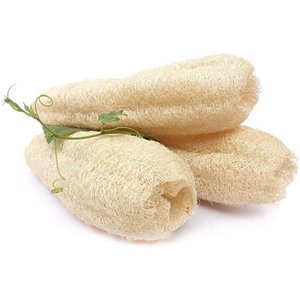 Éponge de bain en loofah blanc, entière, sèche, mature, fibres végétales pour éliminer les peaux mortes. - Product Image 5