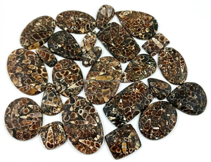 Venta al por Mayor de Cabujones de Ágata Turritella Únicos, en Forma de Pera Ovalada, Pulidos y Lisos, Ideales para la Fabricación de Joyería - Product Image 6