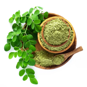 Poudre de Moringa 100% Pure et Naturelle de Marque Privée, Poudre de Feuilles de Moringa Fraîchement Séchées pour l'Énergie et le Soutien Immunitaire des Hommes et des Femmes - Product Image 5