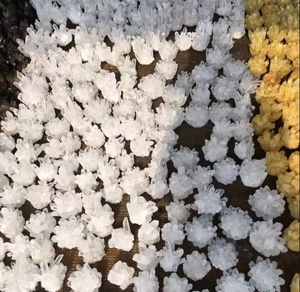 Amas de cristal de Quartz clair naturel, en vrac, Offre Spéciale, Apophyllite verte, minéraux d'améthyste pour la décoration de la maison - Product Image 5