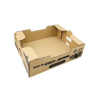 Caja de Cartón Corrugado de Papel Kraft de 5 mm de Espesor con Protección UV, Bandeja para Empaque de Frutas, Forma de Bandeja, Materiales Reciclados - Product Image 1