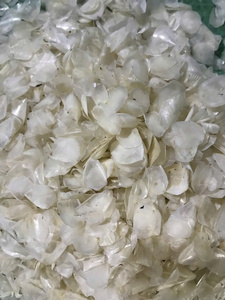 Écailles de poisson séchées en gros pour la production de peptides de collagène à haut rendement, matière première nettoyée et séchée au soleil pour les marchés d'exportation mondiaux - Product Image 5