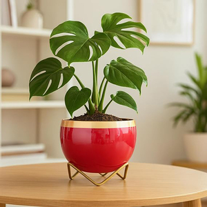 Urban Plant Indoor Metal Planter Trending Pots <b>Unique</b> Designer Flower <b>Vase</b> - Product Image 3