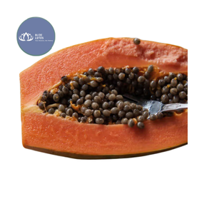 Té de Flores de Papaya Secas Puras Premium, Bebida Herbal Sostenible, Blue Lotus Gold Vietnam, Vida Útil de 12 Meses - Product Image 3