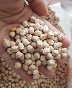 Pois chiches secs croustillants, ingrédient alimentaire en vrac pour les collations et la préparation des repas WA 0084.986778999 - Product Image 3