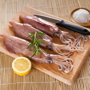 Calamar Congelado (U3) - Estándares de la UE para Mayoristas e Importadores - Product Image 6