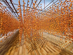 Vente chaude 2025 délicieux kaki séché traditionnel fait à la main kaki doux meilleur prix pour la vente en gros par 99 Gold Data - Product Image 4