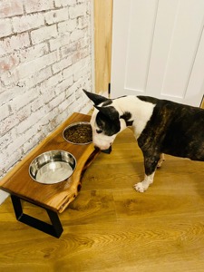 Juego de Platos de Madera para Gatos Hechos a Mano, Platos Elevados para Mascotas con Soporte de Madera, Comedero con Altura Ajustable - Product Image 6