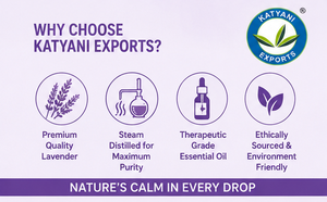 100% Natural 2 KG Lavender Essential Oil Manufacturer for Bulk Export Supply- Highly Pure Steam Distilled Aromatherapy Oil India - Product Image 6