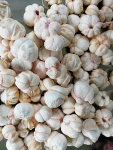 BEST SELLING 2026 Freeze Dried Mangosteen from Viet Nam Delivers A Light Crunchy Snack Filled With <b>Sweet</b> And <b>Sour</b> Taste - Product Image 5