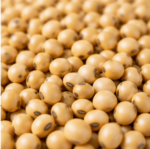 Grano de Soja India para Alimentación Animal, Proveedor y Exportador de Alimento para Ganado a Granel - Product Image 5