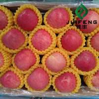 Biologische Fuji Rode Appel UK Oorsprong 10kg Goedkoop Groothandel Bulk Koop Verse Fruit te Koop
