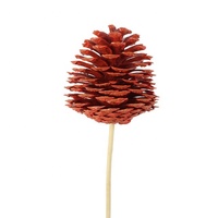 Pommes de pin de haute qualité pour la décoration d'événement de fête de mariage personnalisé 40cm article décoratif naturel pour la maison emballé dans des sacs