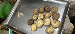 เห็ดหอมแห้งคุณภาพสูง - เห็ดดำหนาจากภูเขาตะวันตกเฉียงเหนือ - Product Image 5