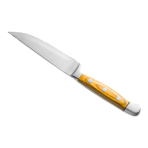 Cuchillos Profesionales para Carne de Acero Inoxidable con Mangos Remachados para Hoteles, Restaurantes y Comedores de Alta Gama, Fabricante Mayorista - Product Image 1