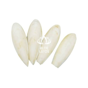 BLUE LOTUS Cuttlefish Bone Dried Clean Calcium Vitamin E Immune Support Digestive Health Fast Absorption Bird Pet Supplement - Product Image 1
